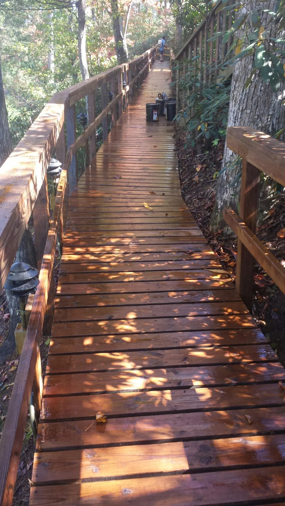 Freshly stained wood walkway winding through the woods in Sun Valley